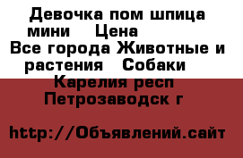 Девочка пом шпица мини  › Цена ­ 30 000 - Все города Животные и растения » Собаки   . Карелия респ.,Петрозаводск г.